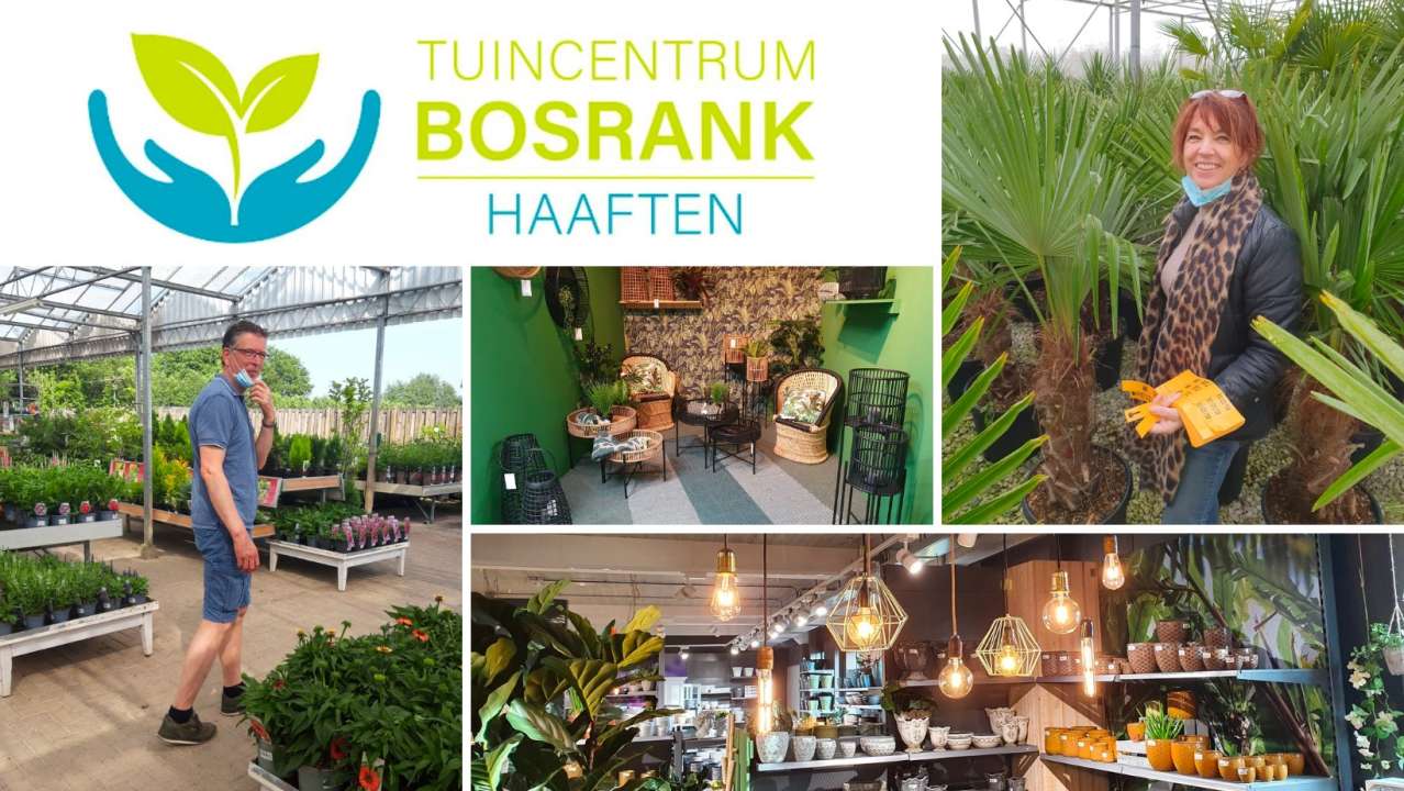 Kamerplanten kopen bij Tuincentrum de Bosrank in Haaften