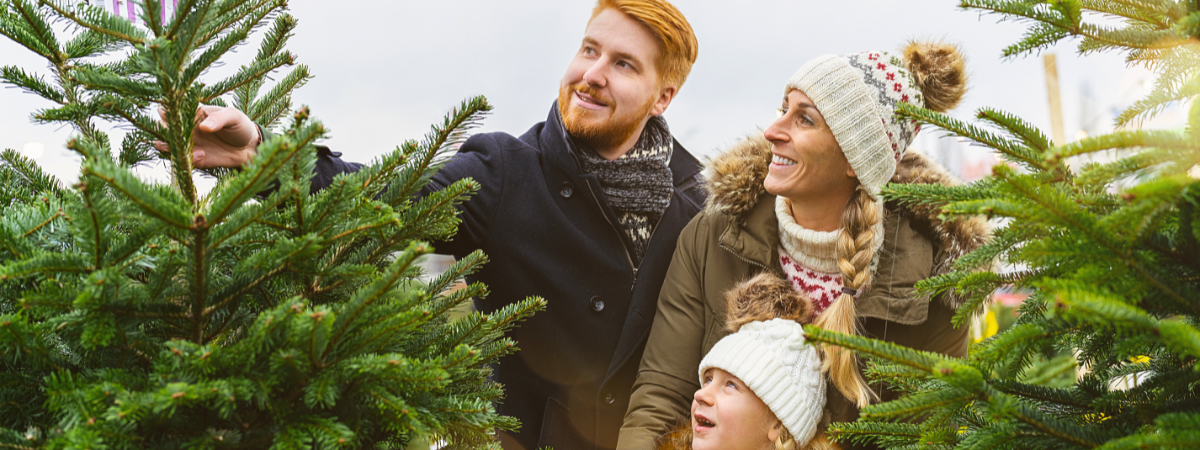 Er gaat niets boven een echte kerstboom! Er gaat niets boven een echte kerstboom!