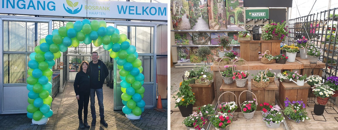 Kamerplanten bij Tuincentrum de Bosrank