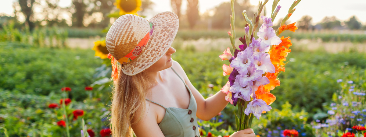 Zomerbollen | Tuincentrum de Bosrank Zomerbollen | Tuincentrum de Bosrank