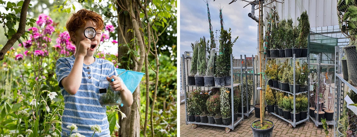 Tuinplanten kopen bij Tuincentrum de Bosrank in Haaften