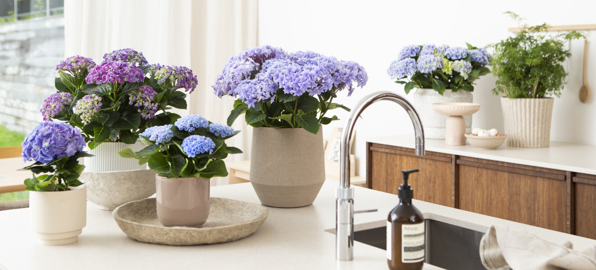 Groen, gezond en gezellig