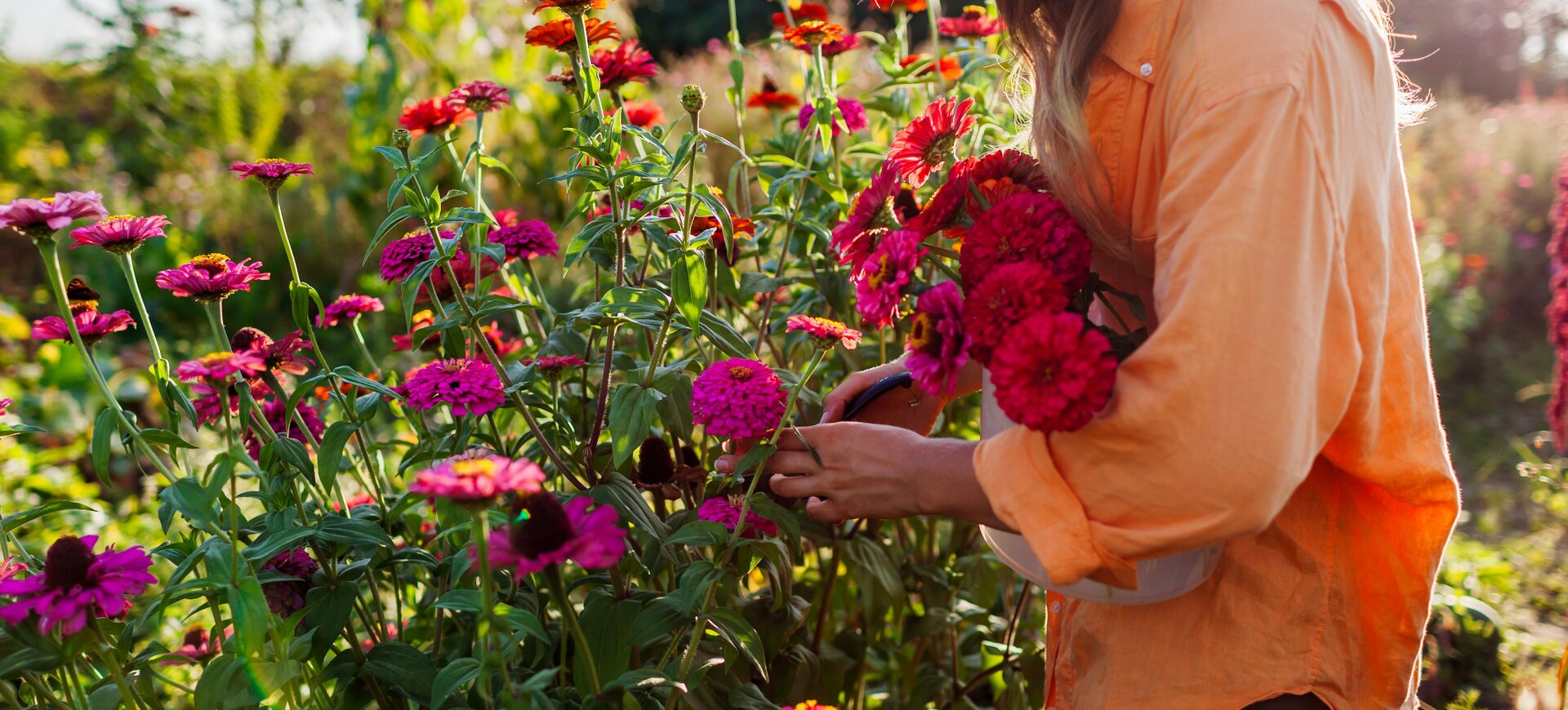 WAANZINNIGE ZOMERTUIN