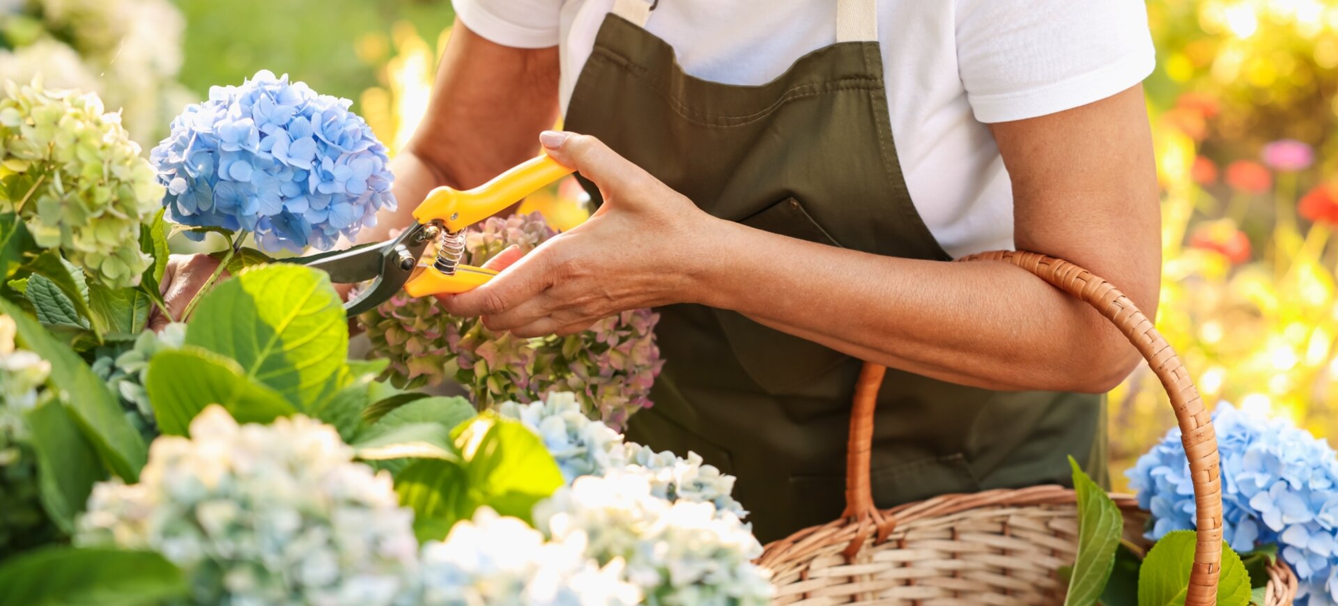 WAANZINNIGE ZOMERTUIN