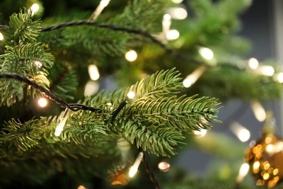 Hoeveel lampjes in de kerstboom?
