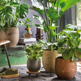 Bloempot kopen bij tuincentrum de Bosrank